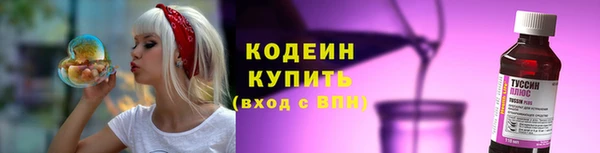 PSILOCYBIN Кулебаки