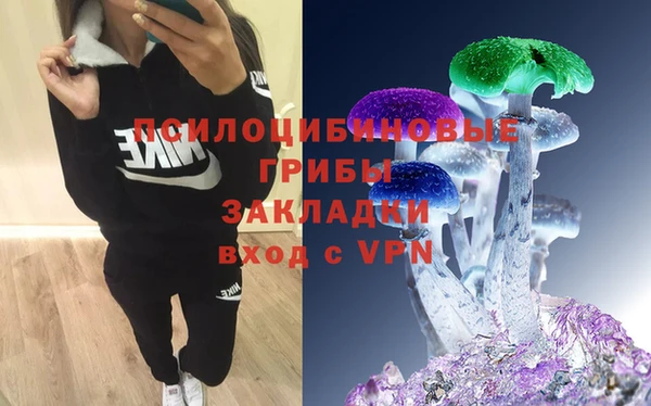 PSILOCYBIN Кулебаки