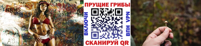 MEGA вход  Черемхово  нарко площадка формула  Псилоцибиновые грибы Psilocybine cubensis 